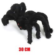 30 cm