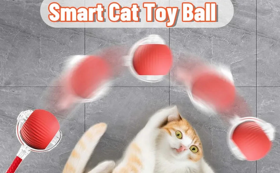 Rechargeable Auto-Rolling Interactive Cat Ball