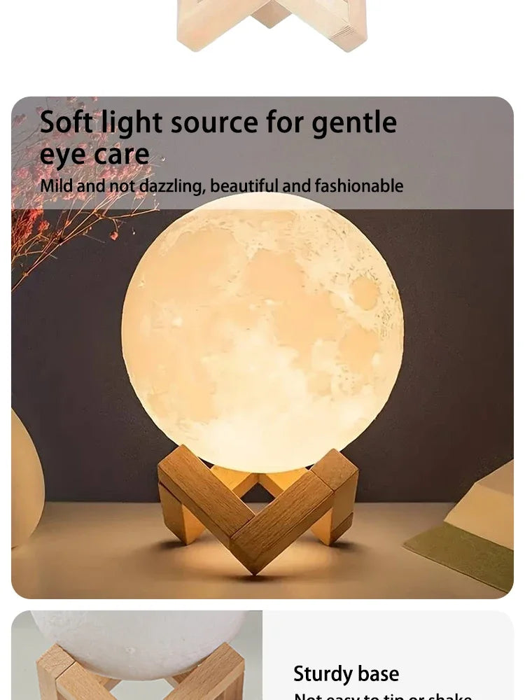 Cartoon Animal Night Light