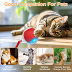 Rechargeable Auto-Rolling Interactive Cat Ball