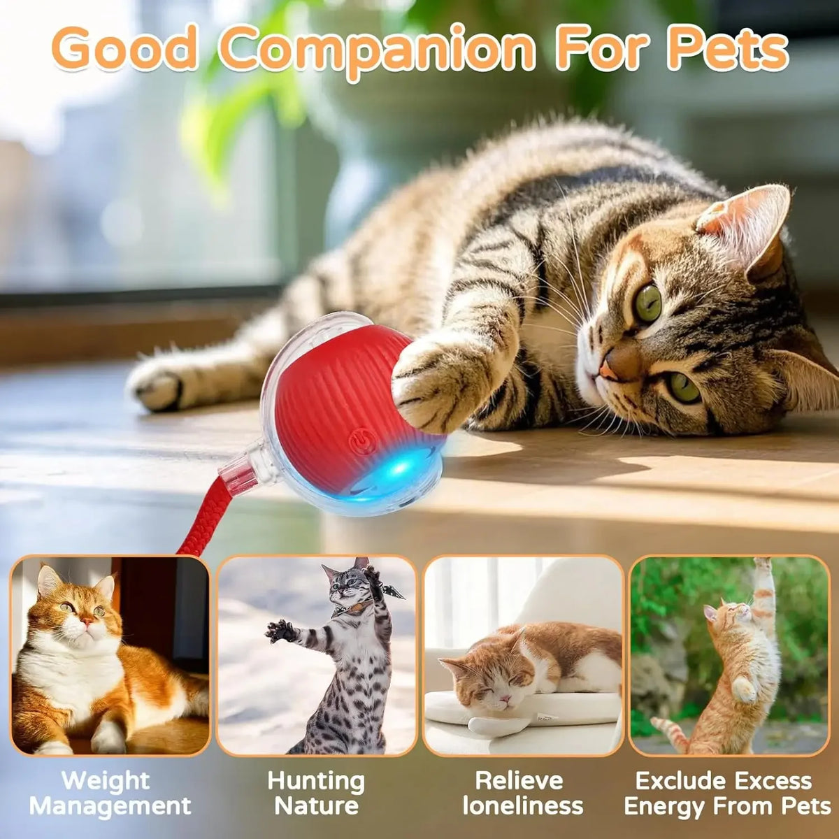 Rechargeable Auto-Rolling Interactive Cat Ball