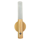 Rechargeable Motion Sensor Wall Light