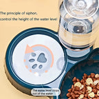 3-in-1 Cat Bowl & Gravity Water Feeder Set