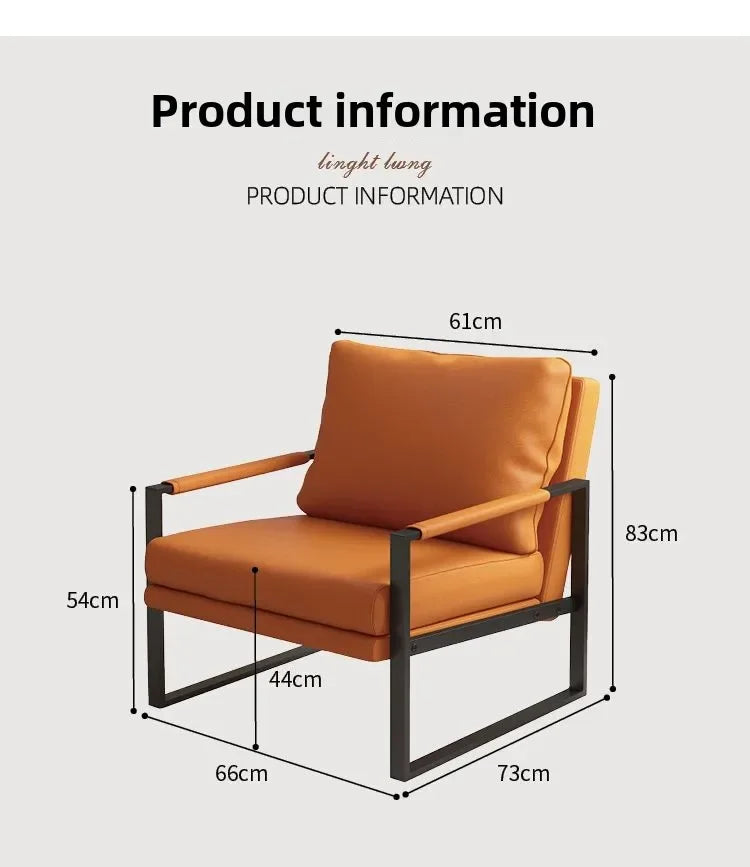 Modern Metal Frame Lounge Chair