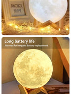 Cartoon Animal Night Light