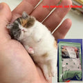 DIY Wool Needle Felting Animal Craft Kit