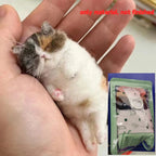DIY Wool Needle Felting Animal Craft Kit