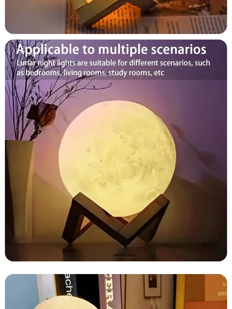 Cartoon Animal Night Light