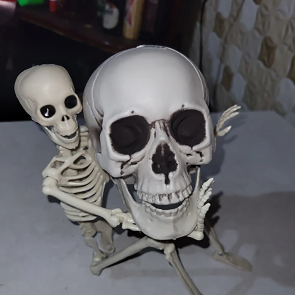Realistic Plastic Skull Halloween Decoration
