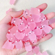 15Pcs Per Box