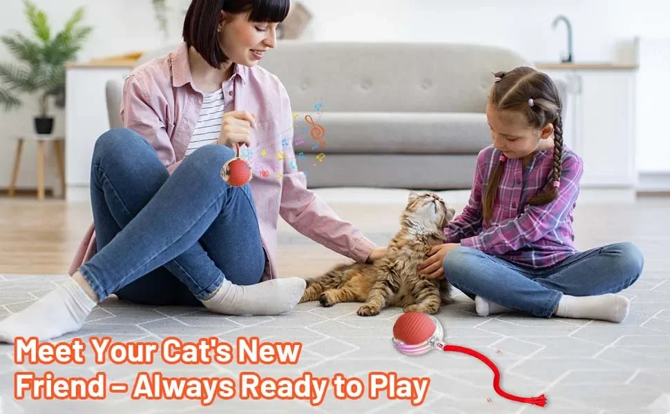 Rechargeable Auto-Rolling Interactive Cat Ball