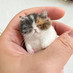 DIY Wool Needle-Felting Animal Kit