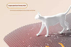 Waterproof Double-Layer Cat Litter Mat