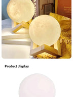 Cartoon Animal Night Light