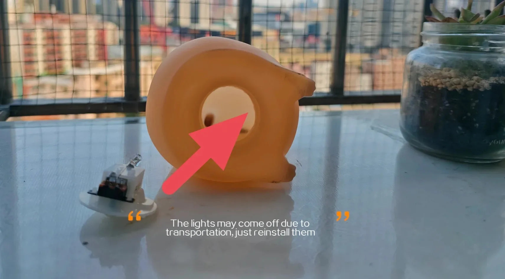 Capybara Night Light