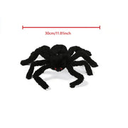 30cm