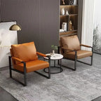 Modern Metal Frame Lounge Chair