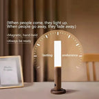 Rechargeable Motion Sensor Wall Light