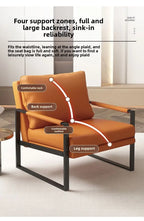 Modern Metal Frame Lounge Chair