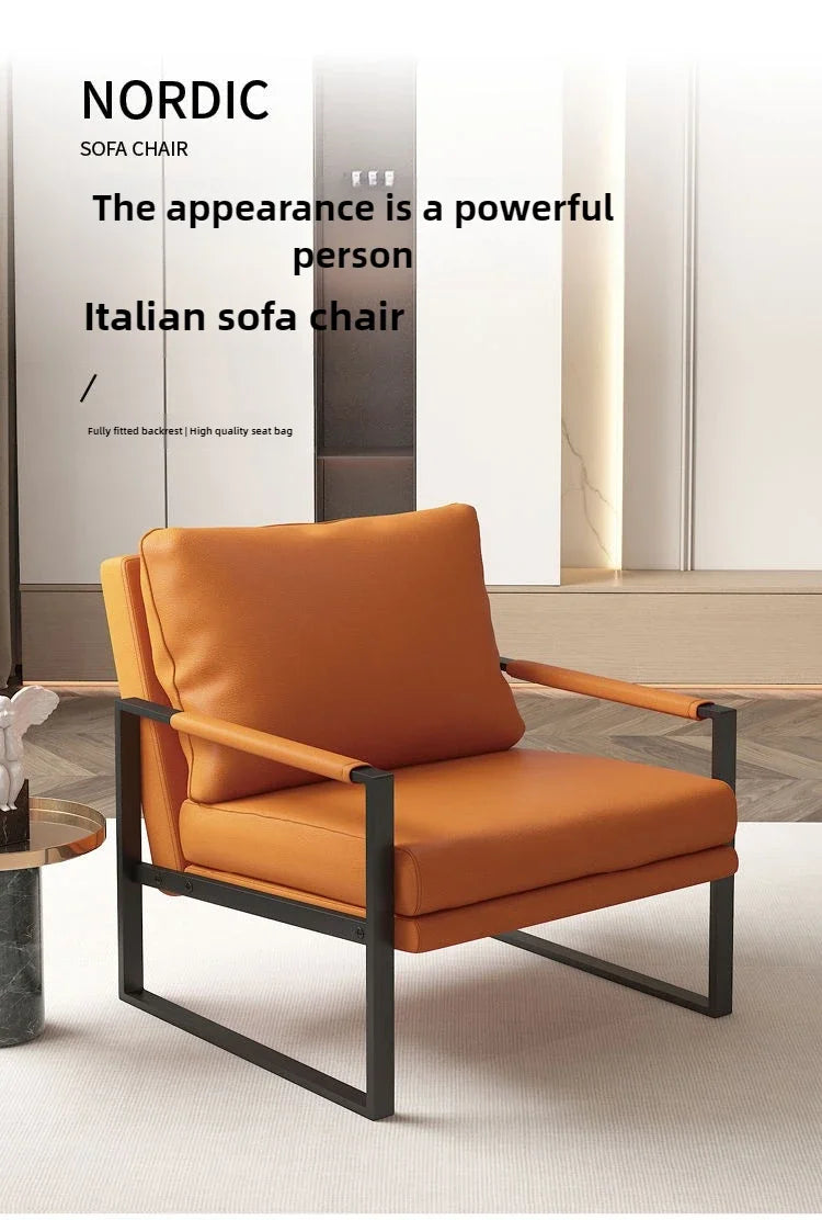Modern Metal Frame Lounge Chair