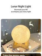 Cartoon Animal Night Light