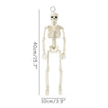 40cm Posable Halloween Skeleton Decoration