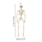40cm Posable Halloween Skeleton Decoration