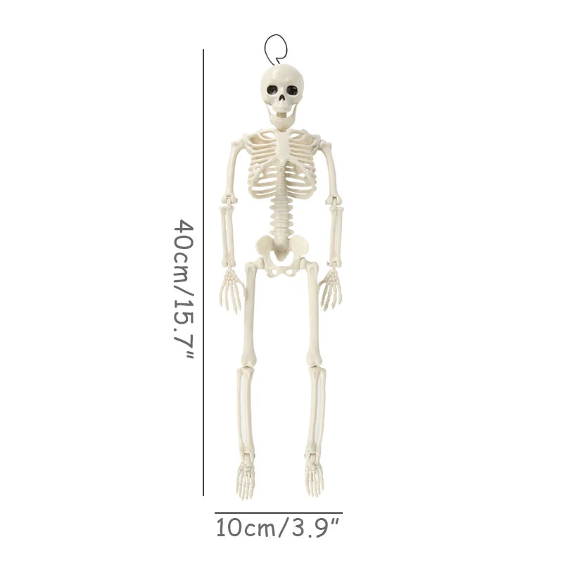 40cm Posable Halloween Skeleton Decoration
