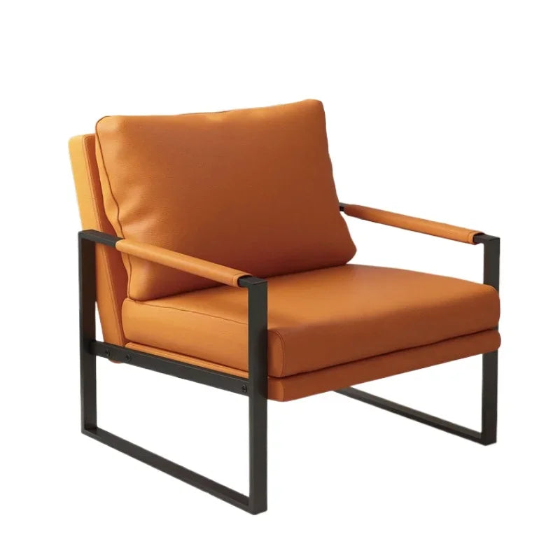 Modern Metal Frame Lounge Chair
