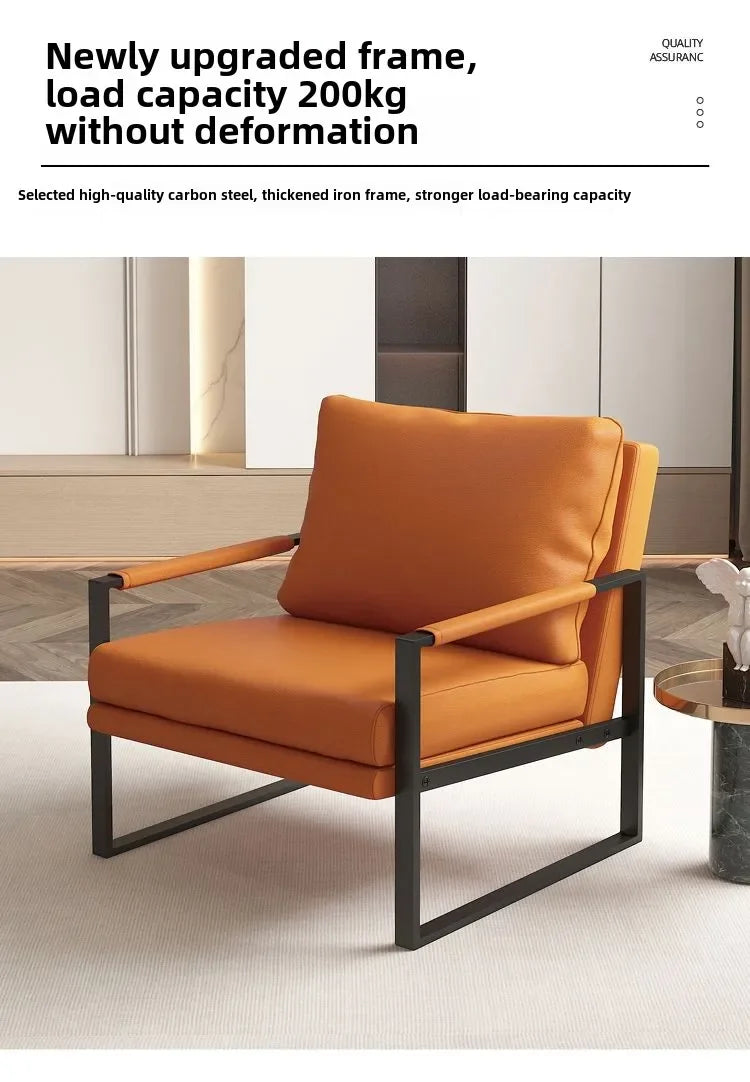 Modern Metal Frame Lounge Chair