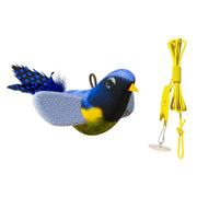 Blue Cat Bird