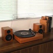 Walnut wood UK plug