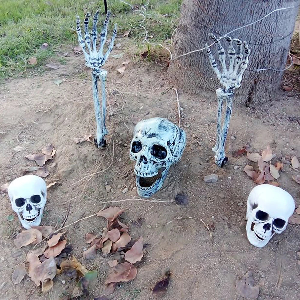 Realistic Plastic Skull Halloween Decoration